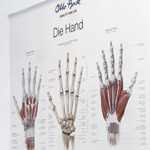 Hand