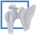 Logo Orthop�de Dr. Stefan Fischer